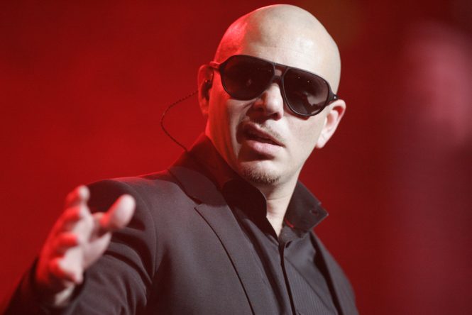 Pitbull net worth