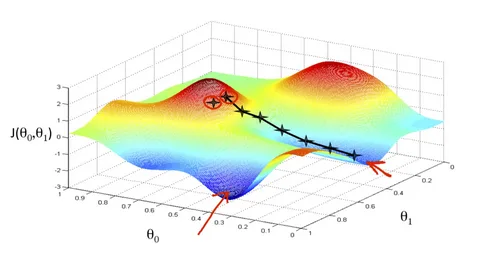 Physical Analysis