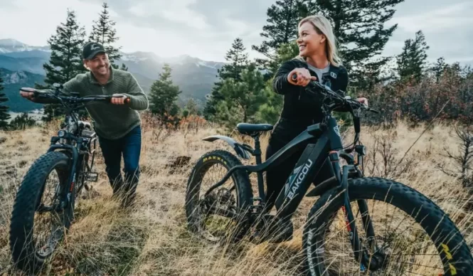 Fat tire e-bikes 2023