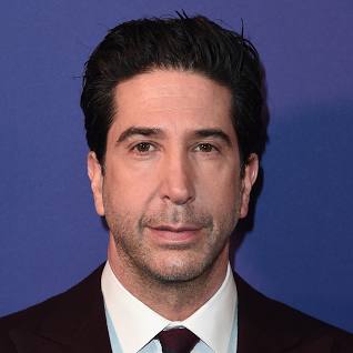 david schwimmer